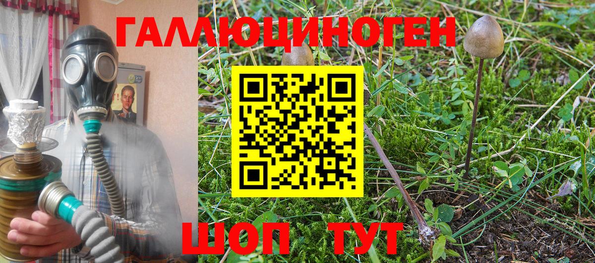 Галлюциногенные грибы MAGIC MUSHROOMS Ростов Великий
