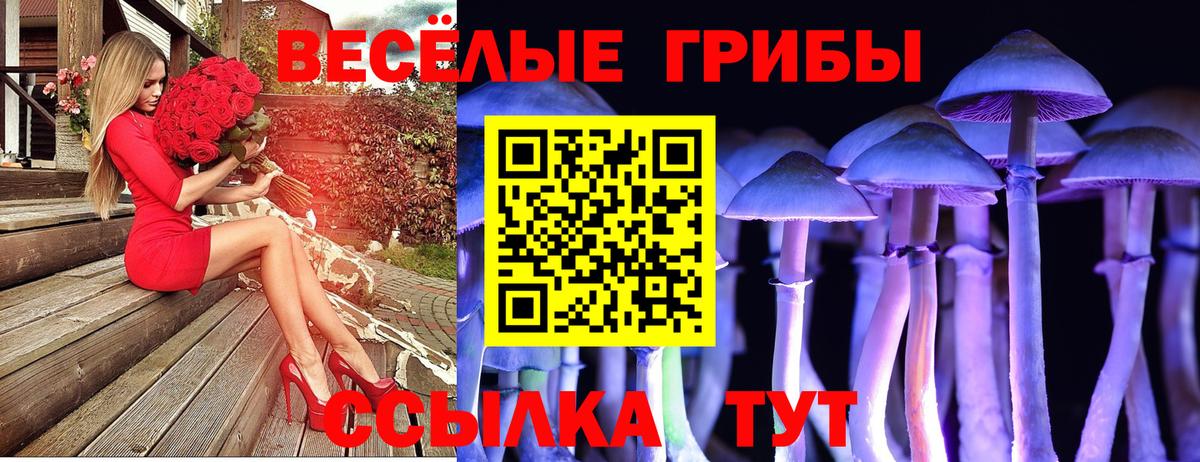 Псилоцибиновые грибы мухоморы  Галлюциногенные грибы мицелий  Вход с VPN  Ростов Великий 